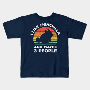 I Like Chinchilla and Maybe 3 People, Retro Vintage Sunset with Style Old Grainy Grunge Texture Kids T-Shirt